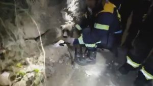 Read more about the article Firefighters Save Trapped Puppy In Pipe In Tourist Spot