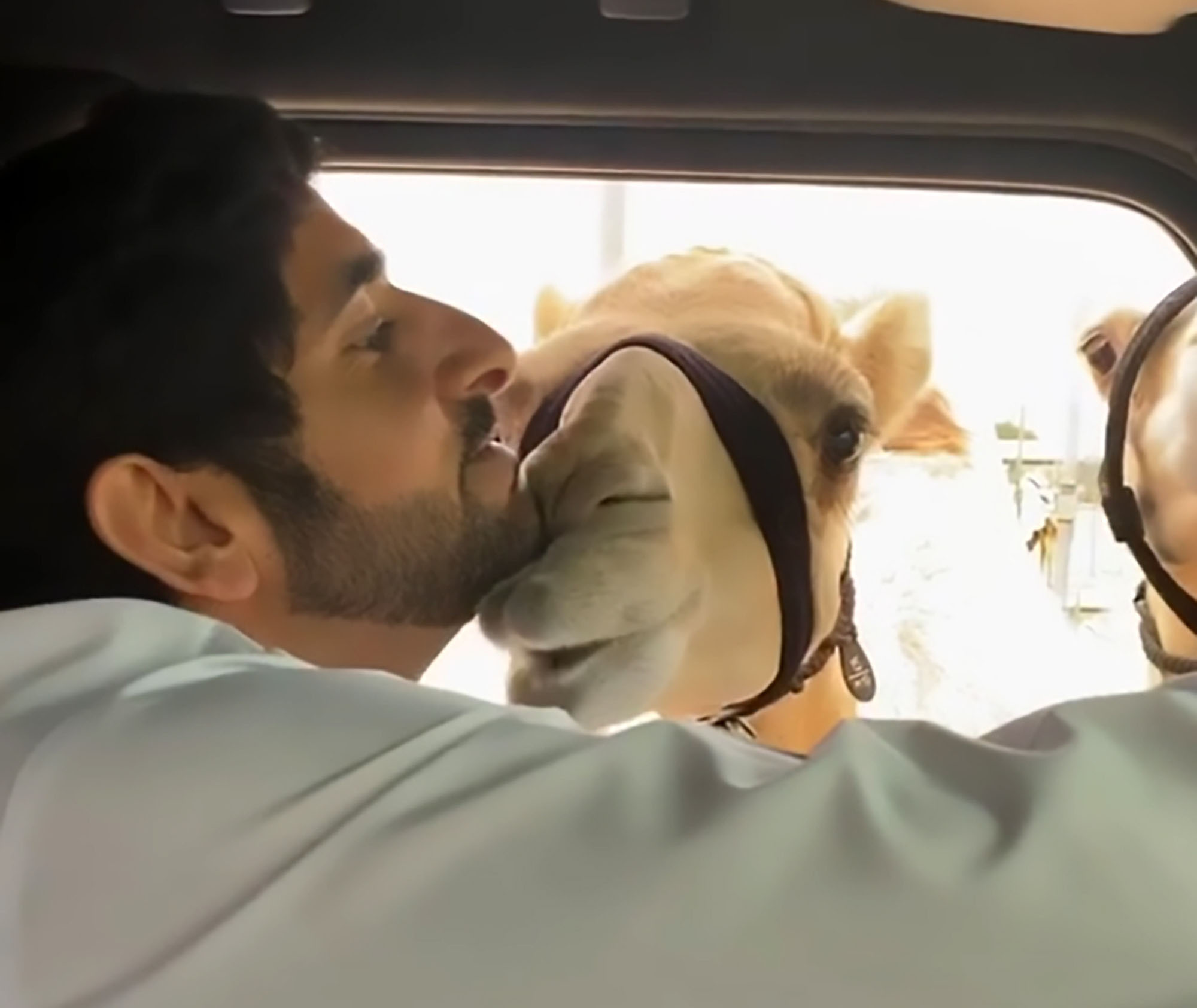 Read more about the article Viral: Dubai Crown Prince Kissed By Obedient Camels