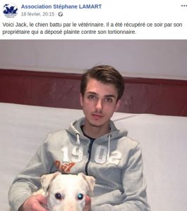 Read more about the article Moment French Vet Brutally Beats Neighbours Dog