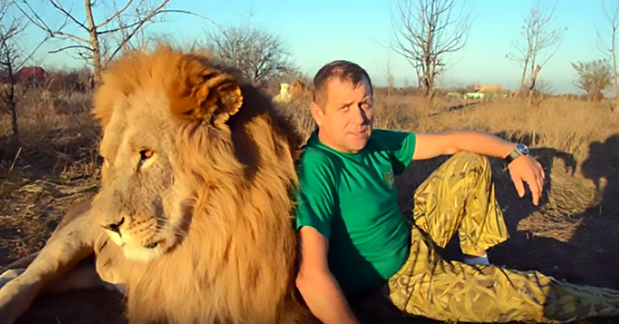 Read more about the article Park Owner Where Lion Attacked Visitor On Hunger Strike