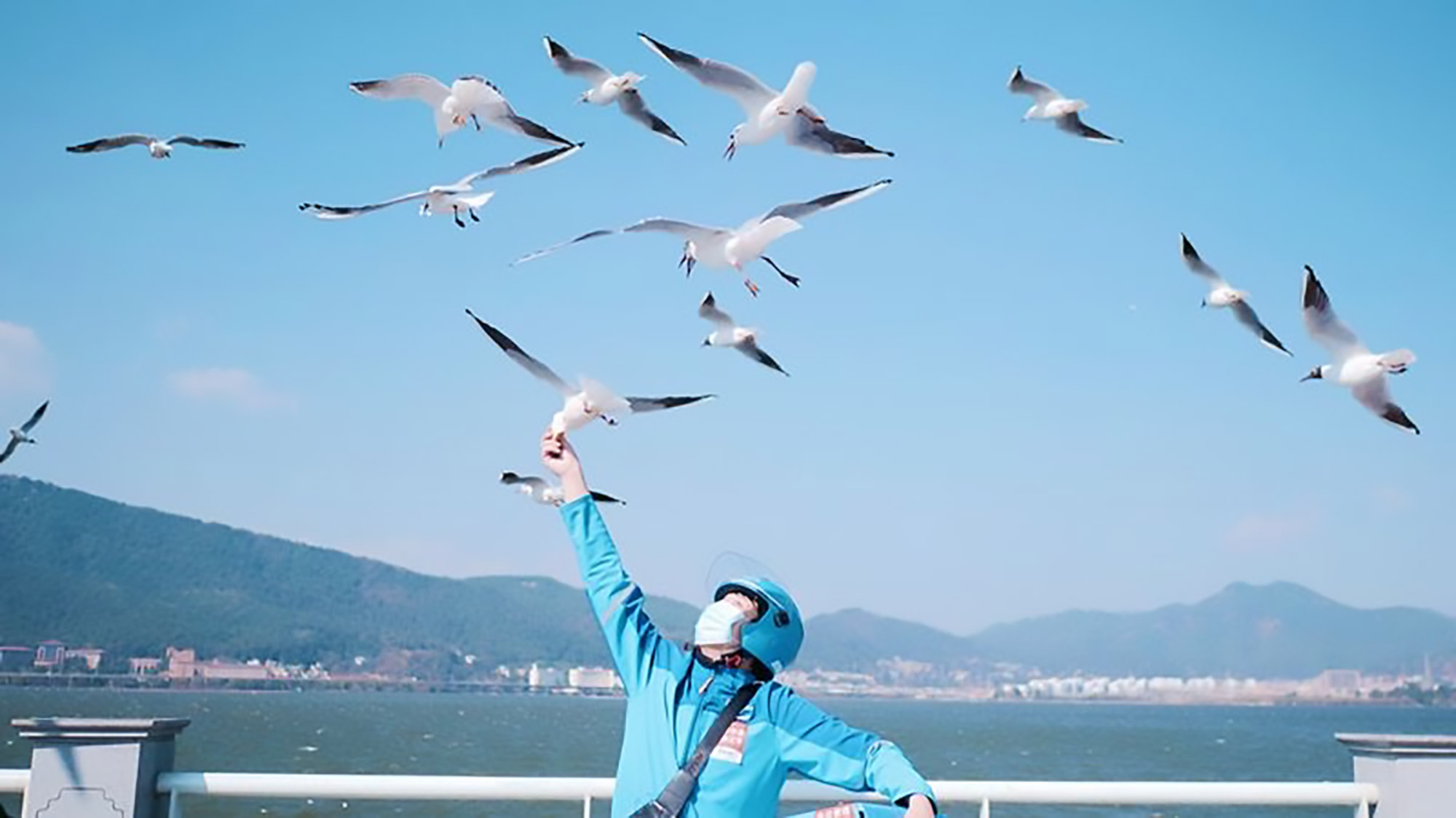 Read more about the article Food Delivery Man Feeds Seagull For Quarantined Clients