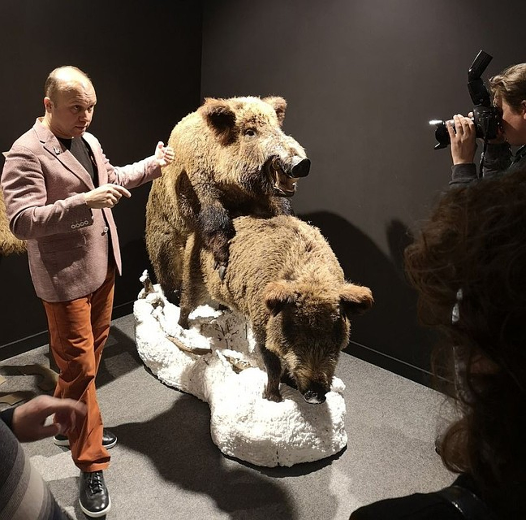Read more about the article Taxidermist Launches Animal-Mating Exhibition For Kids