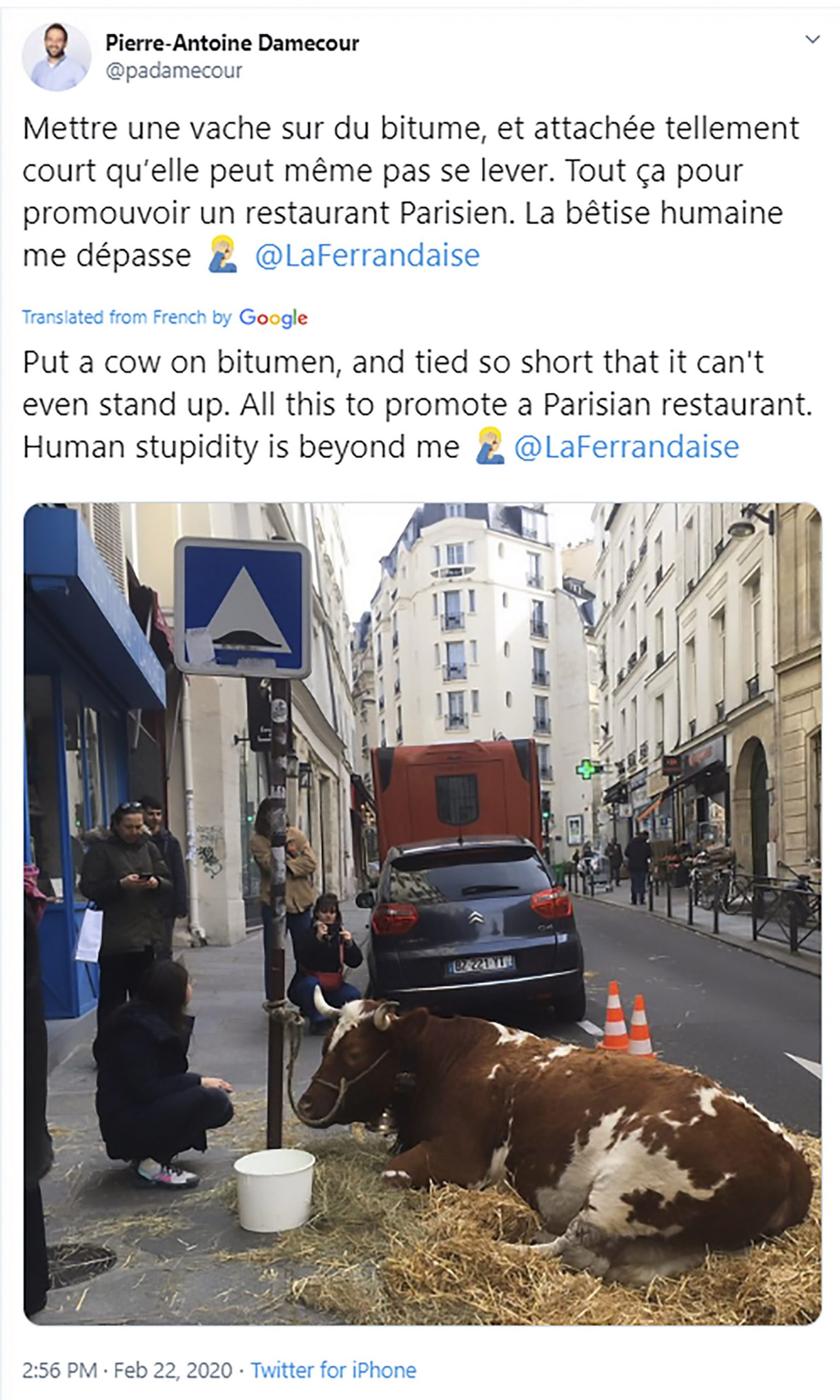 Read more about the article French Farmer Slammed For Tying Cow To Parisian Lamppost