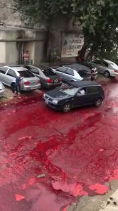 Read more about the article Street Is River Of Blood After Slaughterhouse Accident