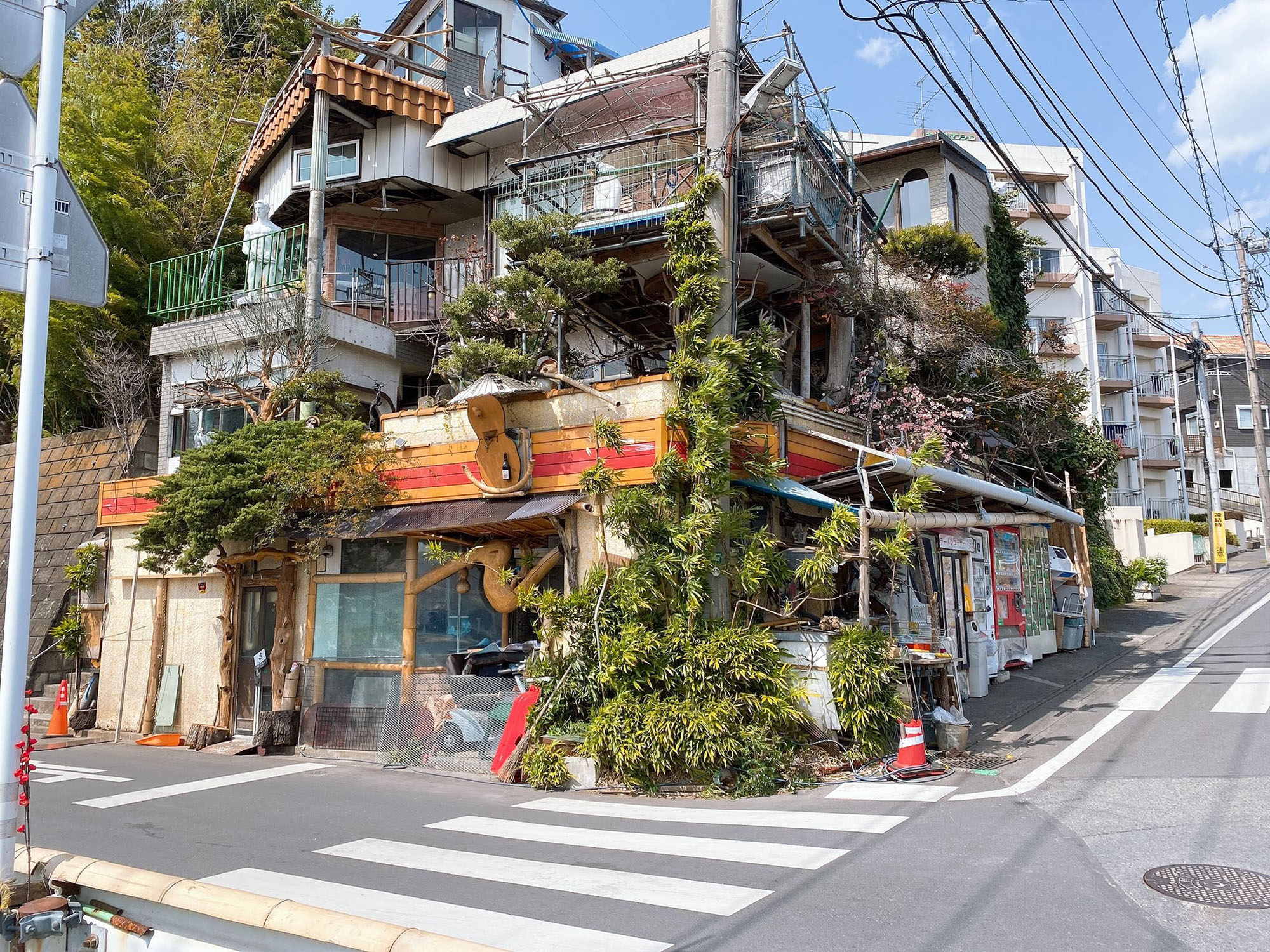 Read more about the article Abandoned City Store Overrun By Nature After 20 Years