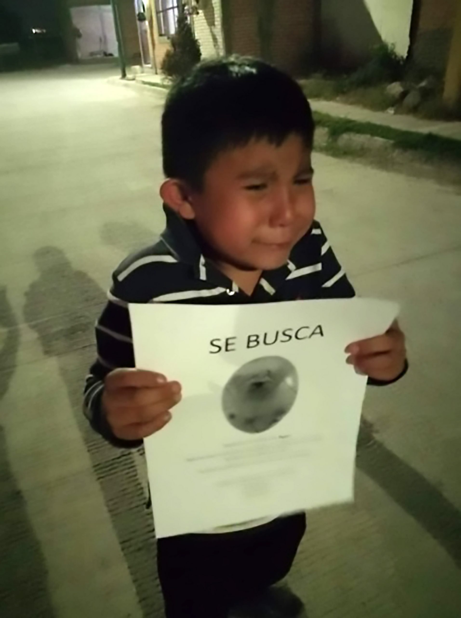 Read more about the article Touching Photo Of Crying Boy Looking For Missing Pooch