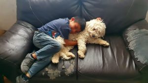 Read more about the article 7yo Boy Finds Lost Dog With Help Of Netizens