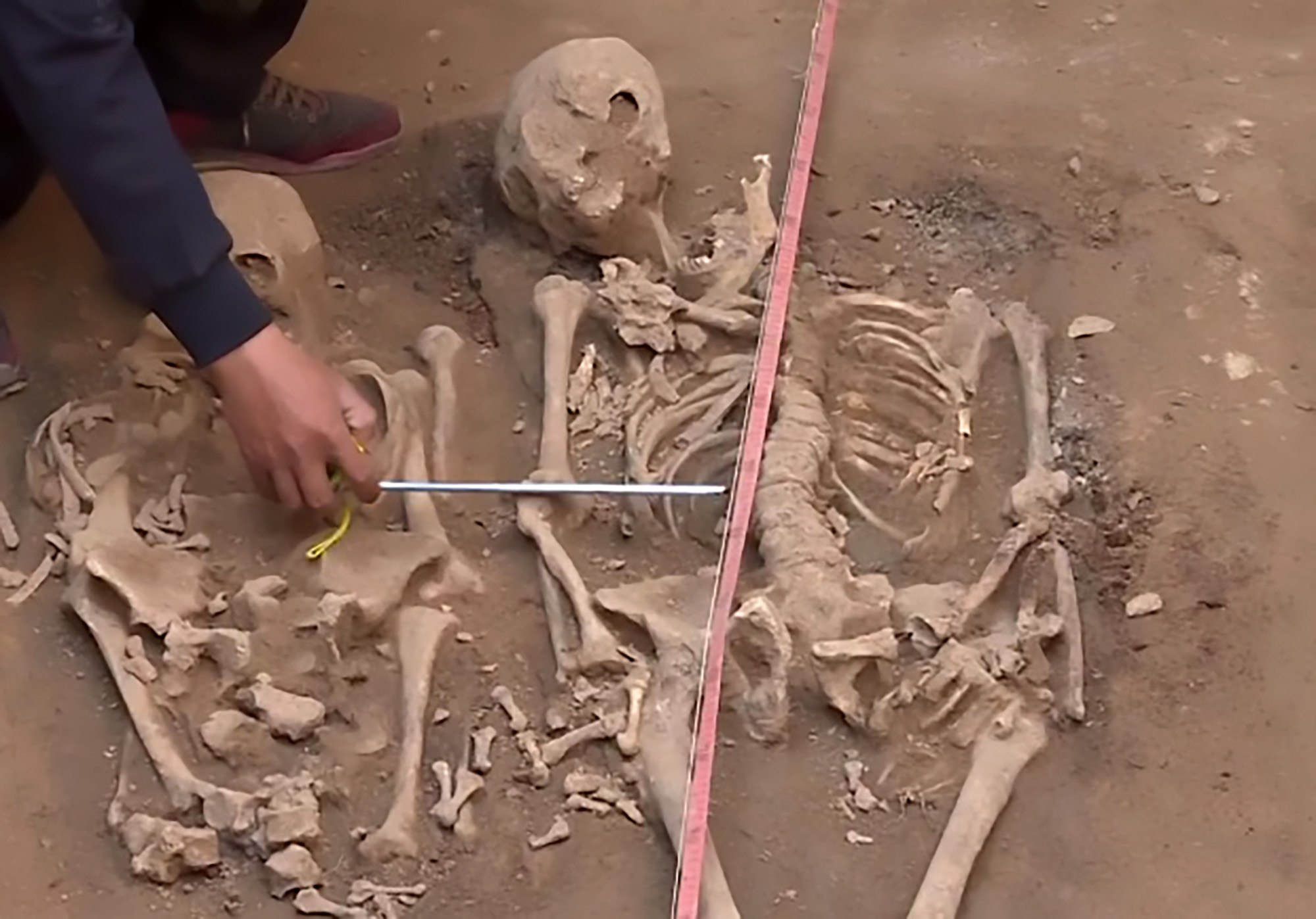Read more about the article 3000yo China Human Sacrifices Had IS-Style Beheadings