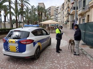 Read more about the article Alicante Police Monitor Time People Spend Walking Dogs