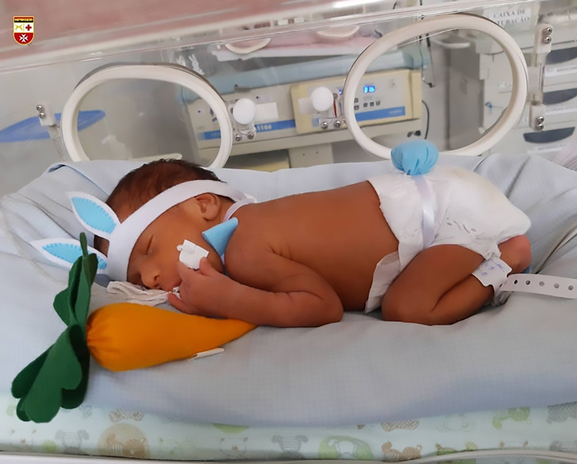 Read more about the article Cute ICU Babies Dressed Up As Easter Bunnies Amid COVID