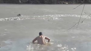 Read more about the article Man Enters Frozen Pond To Rescue Dog Trapped In Ice