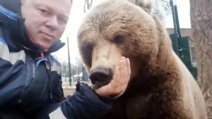 Read more about the article Viral: Bear Makes Engine Sound When Sucking Owners Hand