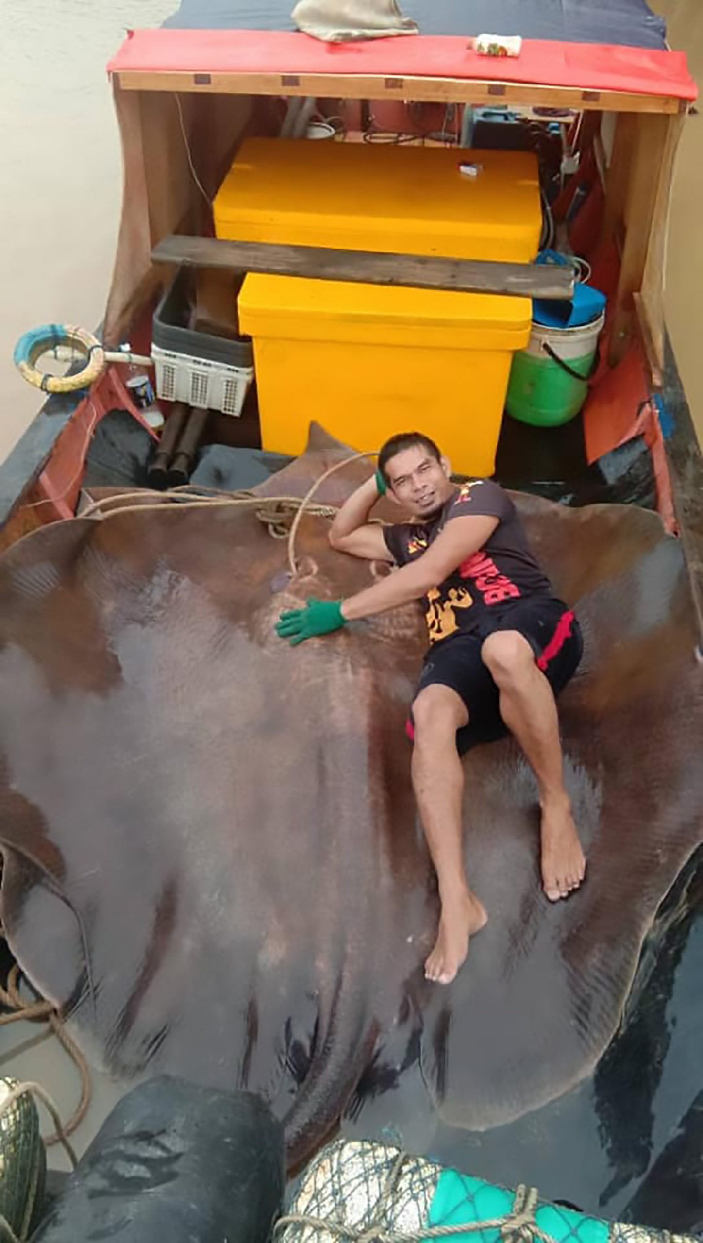 Read more about the article Fishermen Catch Massive Endangered 44-Stone Stingray
