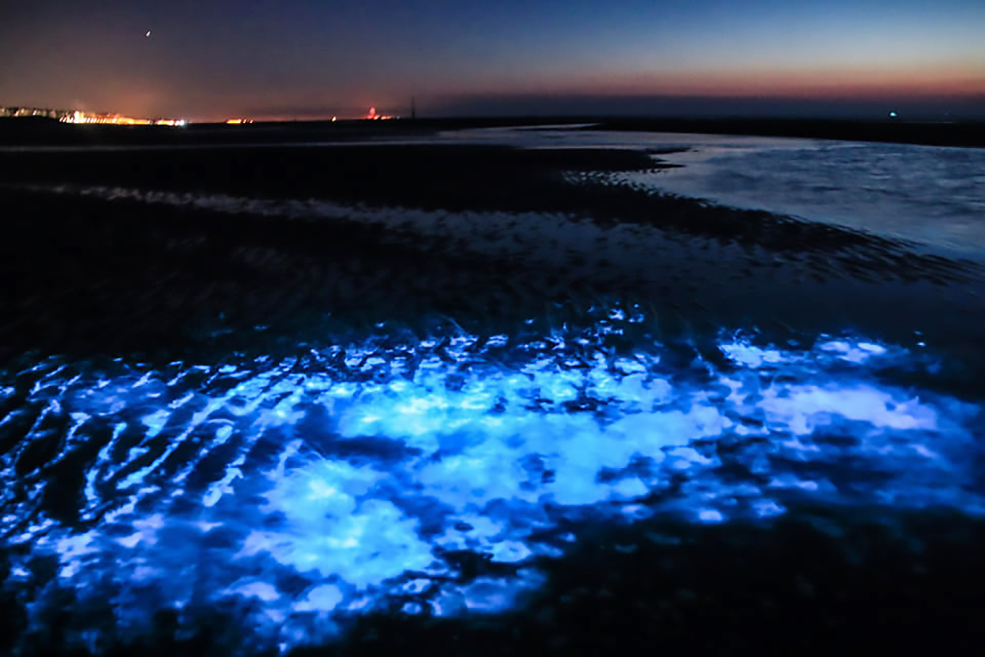 Read more about the article North Sea Turned Fluorescent Blue By Plankton