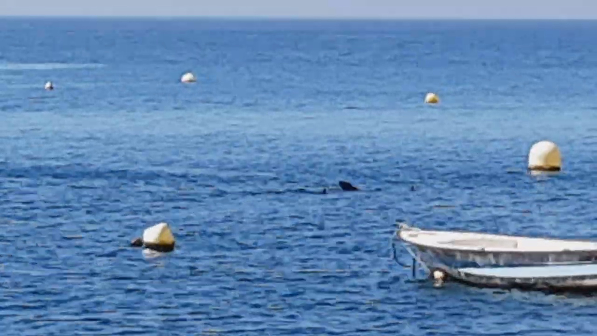 Read more about the article Terrifying Shark Fin Spotted In Sea At Spanish Resort
