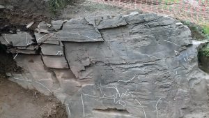 Read more about the article Huge 23,000yo Rock Engraving Of Wild Bull Discovered