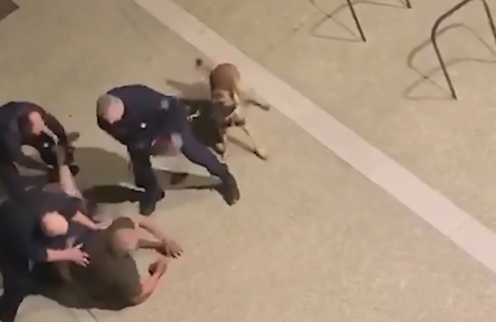 Read more about the article French Cops Whip Man With Muzzle In Brutal Arrest