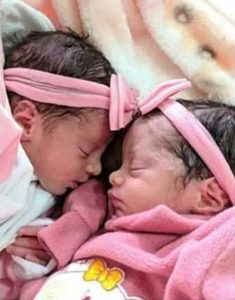Read more about the article Newborn Twins Die Afrer Family Pooch Attacks Them