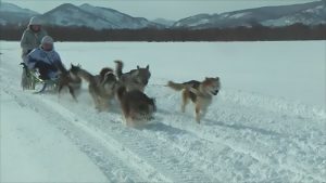 Read more about the article Russian Troops In War Games With Dog Sleds, Snowmobiles