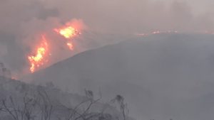 Read more about the article Huge Fire Burns 444 Acres In Southern Spain