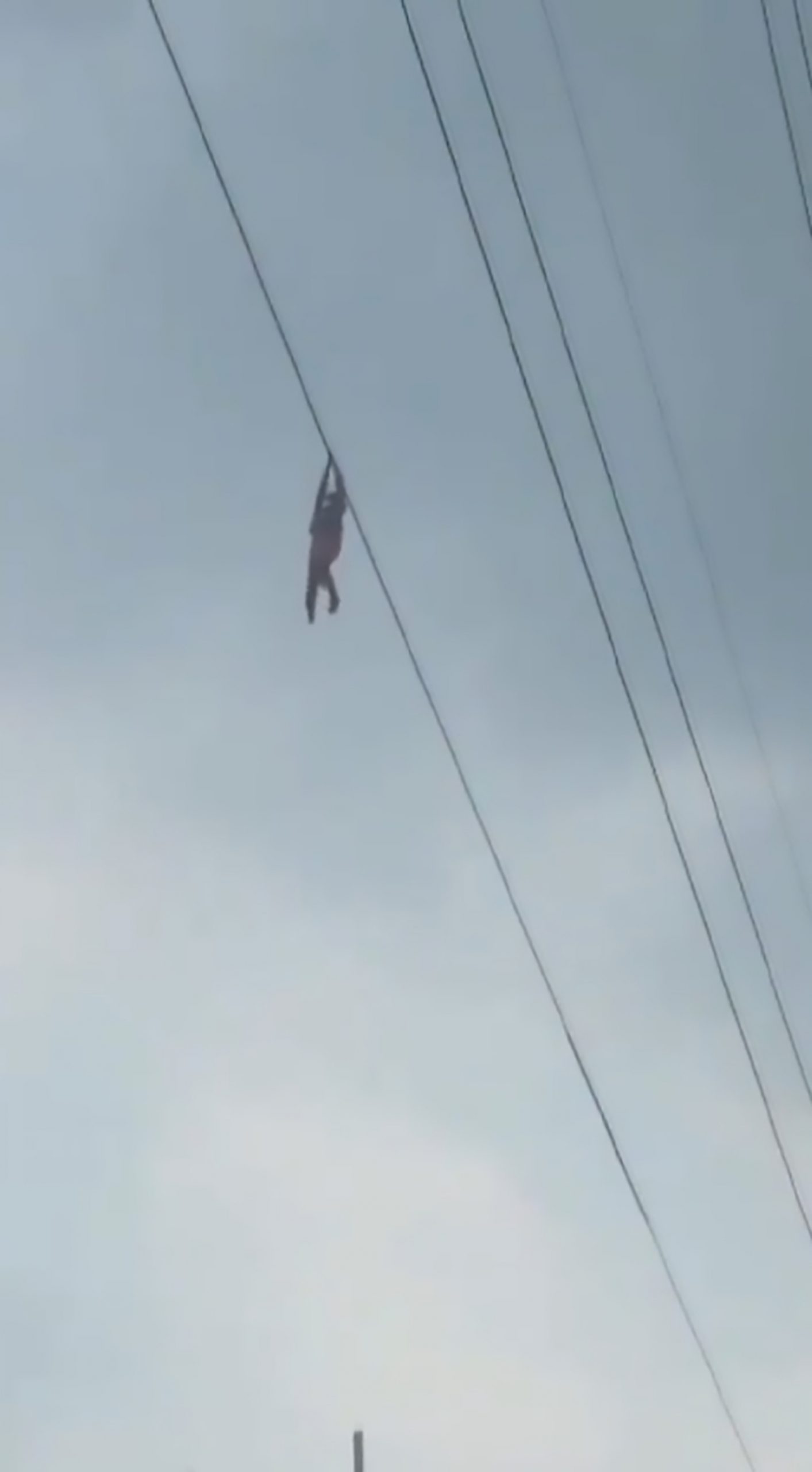 Read more about the article 9yo Girl Left Dangling 50ft In Air From Power Cable