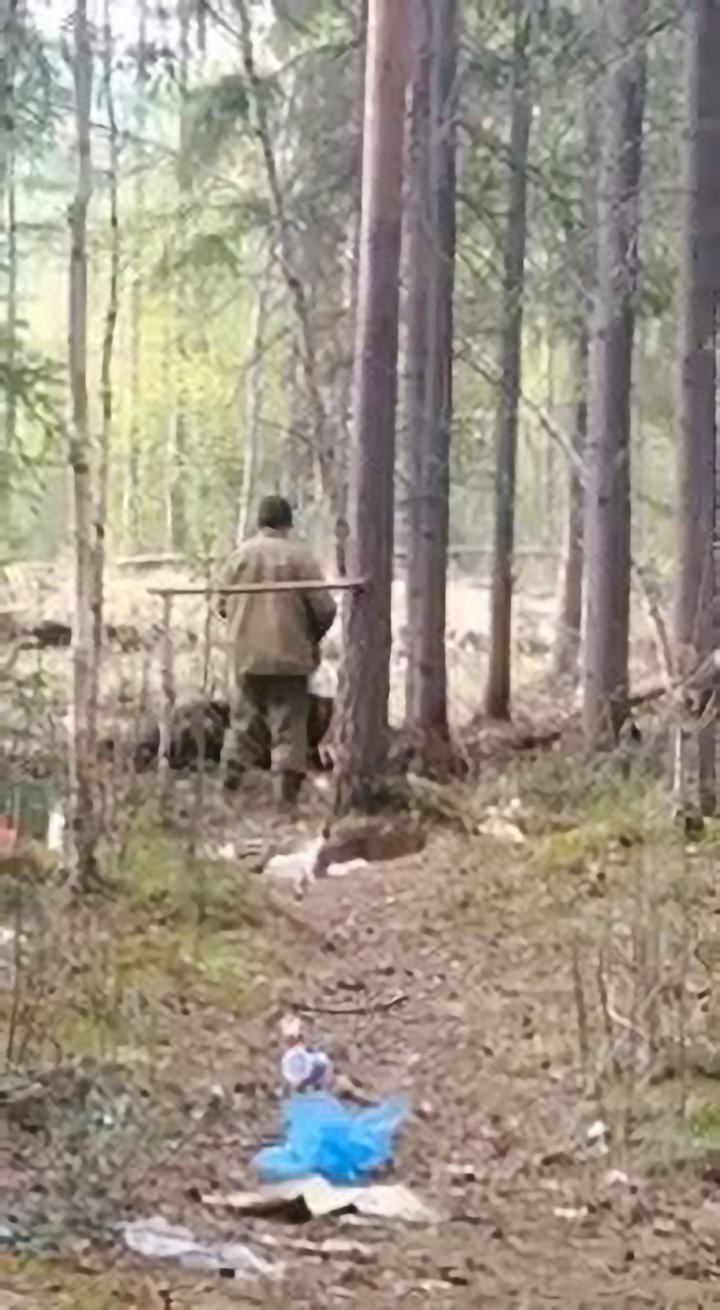 Read more about the article Trapped Bear Attacks Man Trying To Kill It With Axe