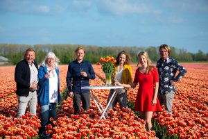 Read more about the article Message Of Hope Written In Field Of 4 Million Tulips