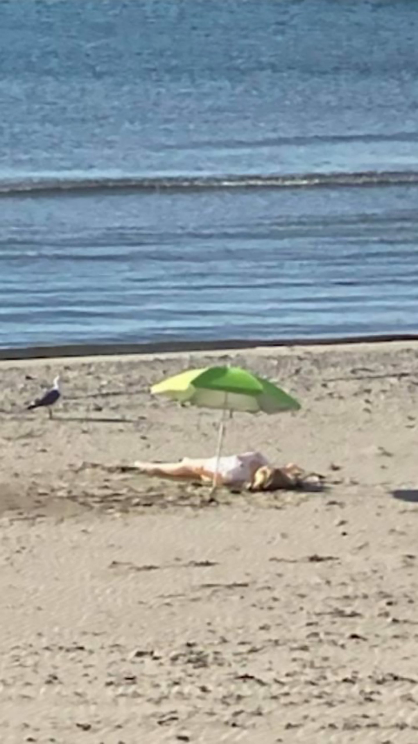Read more about the article Cop Arrests Blow Up Doll Lying On Beach Under Parasol