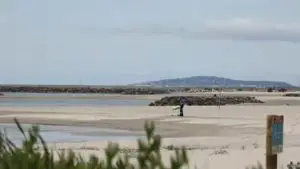 Read more about the article Cops Busting Angler Fishing On Beach Discover Scarecrow