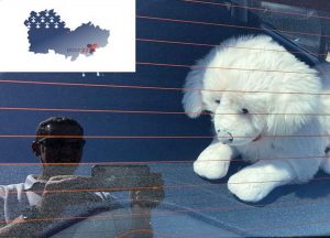Read more about the article Cops Called Out To Rescue Dog In Hot Car Find Cuddly Toy