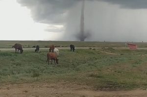 Read more about the article Moment Huge Tornado Twists Across Crimean Farmland