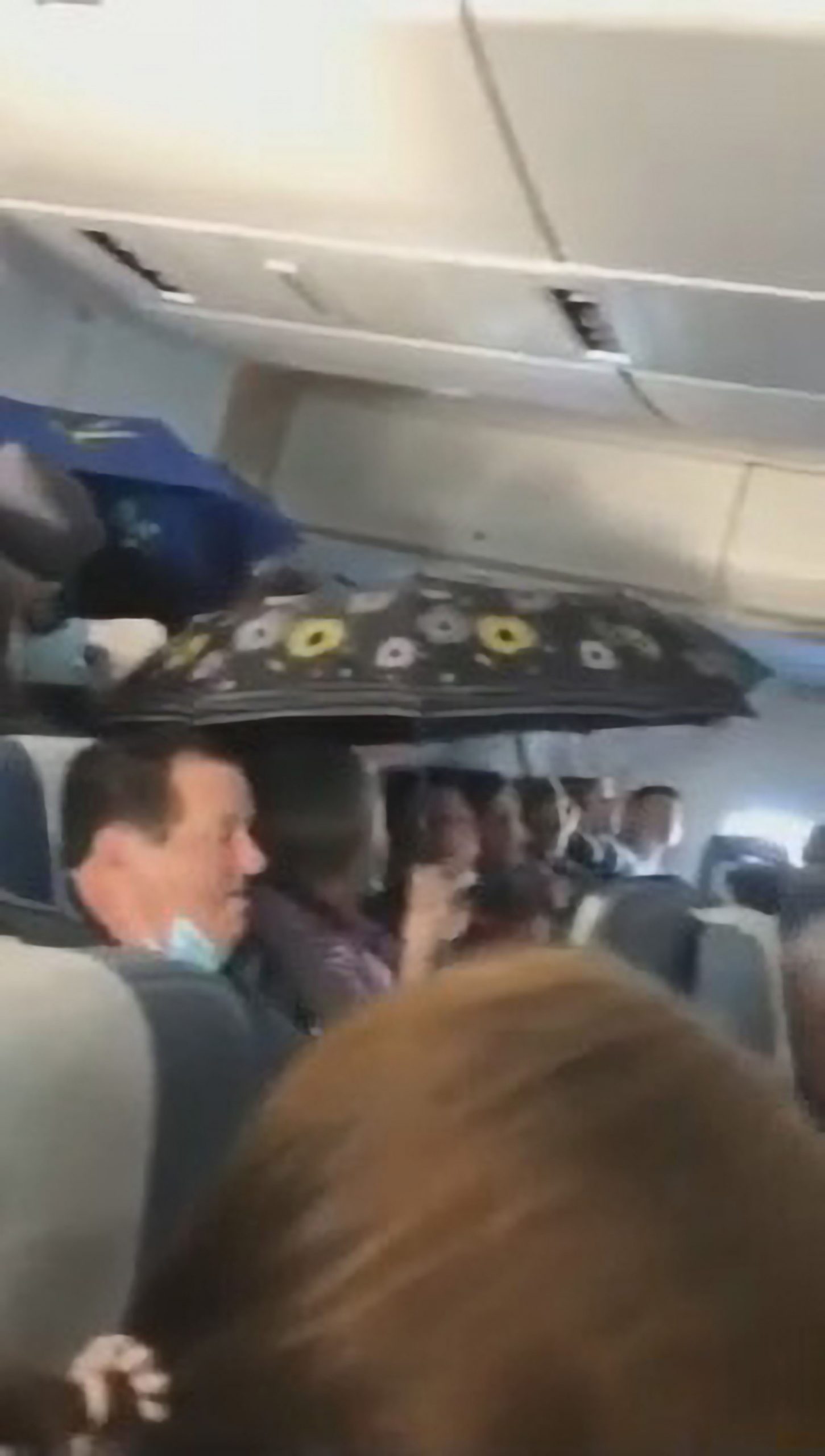 Read more about the article Plane Passengers Use Umbrellas As Ceiling Is Leaking