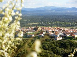 Read more about the article Spain Village Bans Eating Sweets In Public To Stop COVID