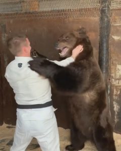 Read more about the article Judo Fighter Tackles Huge Bear After Contest Cancelled
