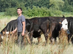Read more about the article Farmer Uses GPS Collar To Control Cows And Set Boundary