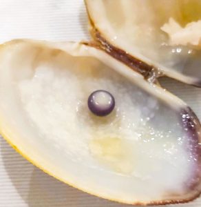 Read more about the article Couple Celebrating Wed Anniversary Finds Black Pearl In Clam Dish