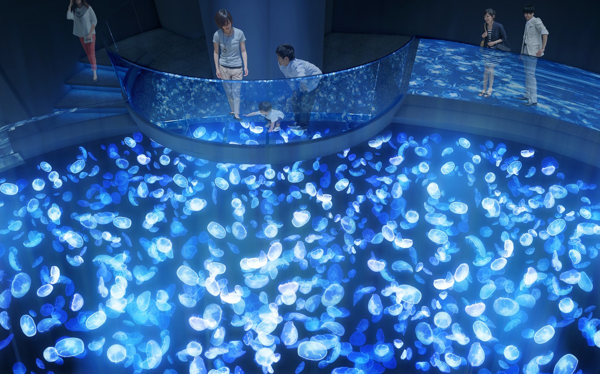 Read more about the article Tokyo Aquarium Unveils Fab Glowing Jellyfish Attraction