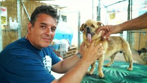 Read more about the article Animal Charity Cash Funded Mans Life Of Luxury Claim