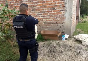 Read more about the article Baby Girl Abandoned In Cardboard Box In Mexican Street