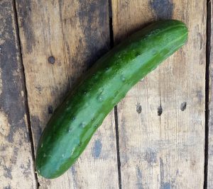 Read more about the article Sex Tape Blackmailer Raped With Cucumber By Girls Mum