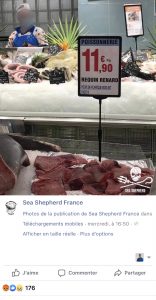 Read more about the article Protected Shark On Sale As Food In French Hypermarket