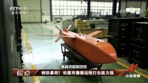 Read more about the article China Has Cluster Bomb Type Weapon To Target Airfields