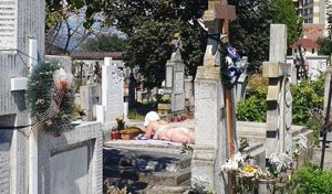 Read more about the article Young Woman Seen Sunbathing On Grave In Cemetery