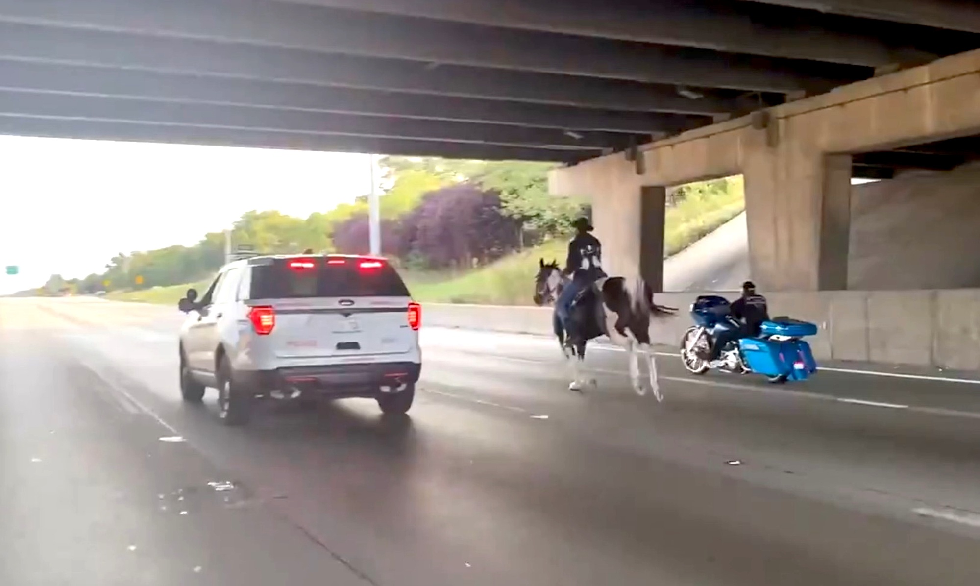 Read more about the article Cowboy Rides Down Busy Highway, Is Arrested By Police