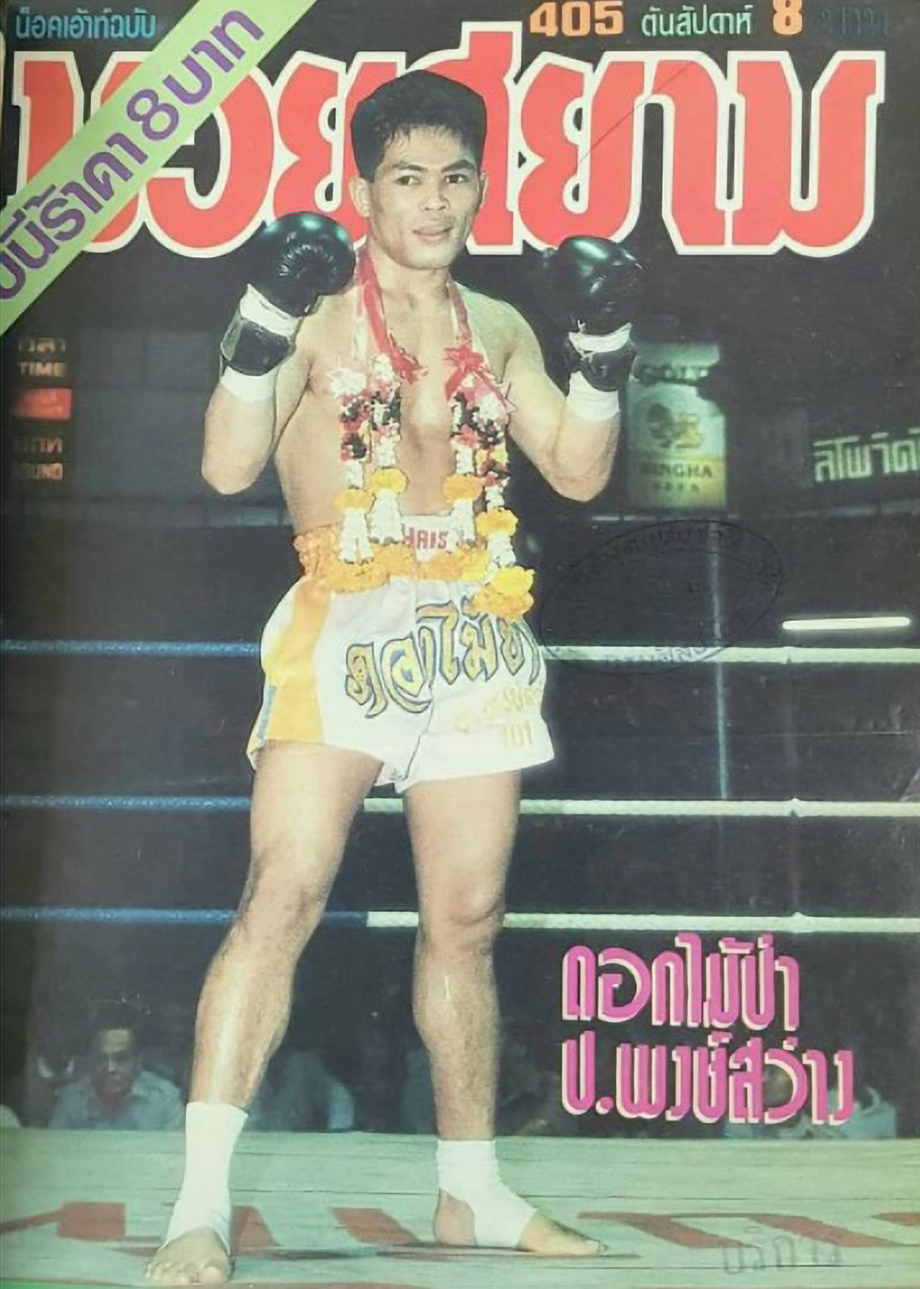 Read more about the article Muay Thai Champ Dies From Giant Centipede Bite