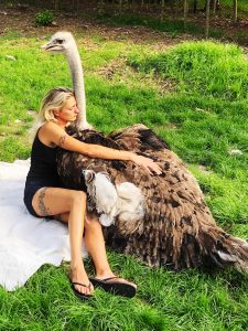 Read more about the article Womans Tender Posts With Pet Ostriches Are Online Smash