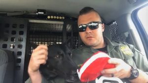 Read more about the article Viral Video As Excited K-9 Gets Dog Treat From A Well Wisher