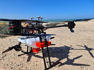Read more about the article Abu Dhabi Aims To Capture CO2 With Mangrove Forests Planted And Tended By Drones