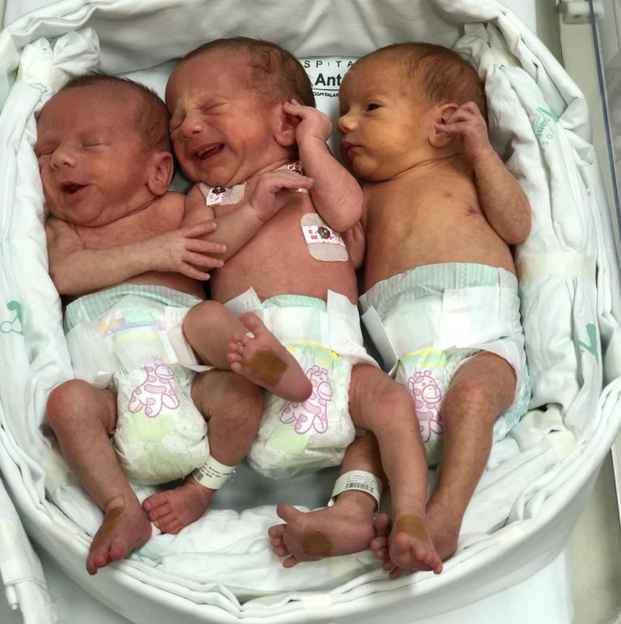 Read more about the article Identical Triplets Born In Brazil Leave Hospital