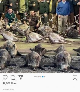 Read more about the article Bodies Of Over Hundreds Of Deer And Wild Boar Scattered Over Ground After Illegal Christmas Hunt